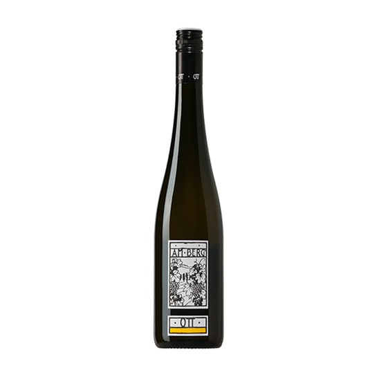 Weingut Bernhard Ott Am Berg 2020